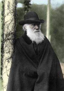 Fotograficzny portret Karola Darwina (1809 - 1882), angielskiego przyrodnika w 1881 roku. autorstwa Unknown photographer