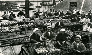 Przemysł sardynkowy, Finistère, Bretania (zdjęcie czarno-białe) autorstwa Unknown photographer