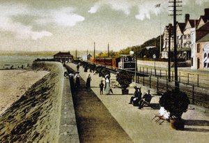 Mur morski, Jersey autorstwa Unknown photographer