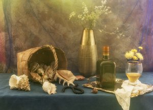 Retro martwa natura z muszelkami