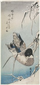 (Kaczka i Snowy Reeds), początek lat 30. XIX wieku