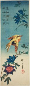 (Faksymile?) Wilga czarnowłosa i powojnik autorstwa Utagawa Hiroshige