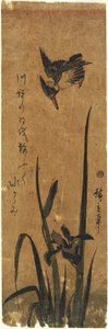 (Irys i zimorodek), 1830-1858
