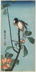 (Sikorki na Kamelii), 1830-1858