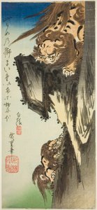 Lew tresujący młode autorstwa Utagawa Hiroshige
