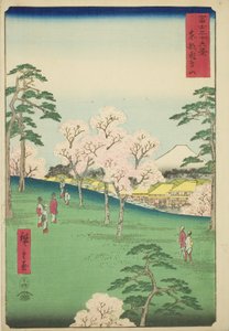 Wzgórze Asuka we wschodniej stolicy (Toto Asukayama), z serii „Trzydzieści sześć widoków na górę Fuji (Fuji sanjurokkei)” autorstwa Utagawa Hiroshige