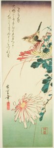 Ptak i chryzantemy autorstwa Utagawa Hiroshige