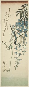 Ptak i glicynia autorstwa Utagawa Hiroshige