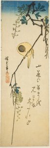 Ptak na jedwabistej wisterii autorstwa Utagawa Hiroshige
