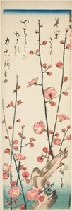 Kwitnące gałązki śliwki autorstwa Utagawa Hiroshige