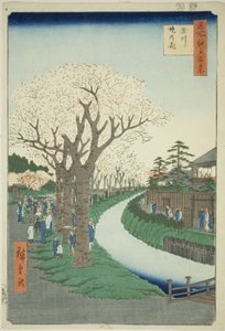 Dźwięk Bosso MS te tamari ver wersja obrazkowa k powierzchnia t (Tamagawa Tsutsumi no Hana), z serii „Ridge d red d fa net views f Edo (Sto słynnych widoków Edo)” autorstwa Utagawa Hiroshige