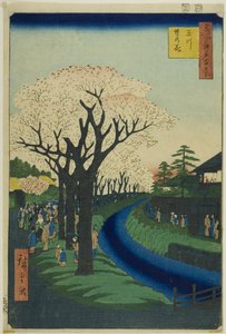 Kwiaty na nabrzeżu rzeki Tama (Tamagawa-zutsumi no hana), z serii "Sto słynnych widoków Edo (Meisho Edo hyakkei)". autorstwa Utagawa Hiroshige