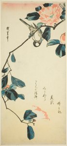 Gil zwyczajny na gałęzi kamelii autorstwa Utagawa Hiroshige