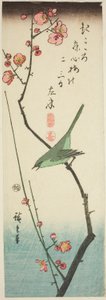 Lasówka krzewiasta na gałęzi śliwy autorstwa Utagawa Hiroshige