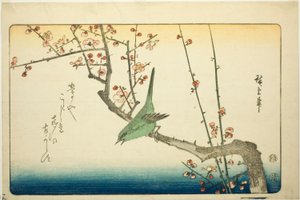 Lasówka krzewiasta na gałęzi śliwy autorstwa Utagawa Hiroshige