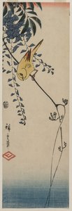 Kanaryjskie i Wisteria autorstwa Utagawa Hiroshige