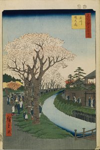 Kwitnąca wiśnia nad brzegiem rzeki Tama Sto słynnych widoków Edo, 1856-1858 autorstwa Utagawa Hiroshige
