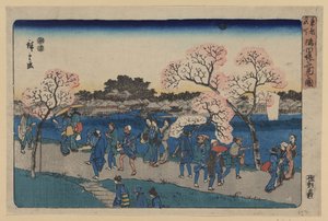 Chery b oso MS Aong g Sumida River. Ilustracja Sumida Hanami autorstwa Utagawa Hiroshige