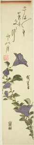 Chińskie kwiaty dzwonkowe autorstwa Utagawa Hiroshige