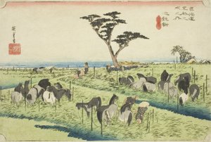 Chiryu: Wczesny Letni Targ Koni (Chiryu, shuka uma ichi), z serii „Pięćdziesiąt trzy stacje Tokaido (Tokaido gojusan tsugi no uchi),” znany również jako Hoeido Tokaido autorstwa Utagawa Hiroshige