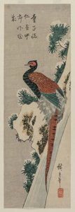 Bażant Miedziany przy Śnieżnym Wodospadzie autorstwa Utagawa Hiroshige