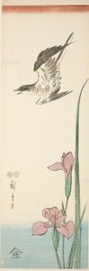 Kukułka i irys autorstwa Utagawa Hiroshige