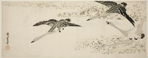 Zstępujące gęsi autorstwa Utagawa Hiroshige