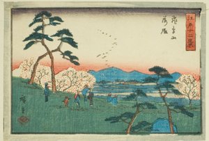 Na awangardzie Asuka ciągnie (Asukayama Rakugan) z serii „Tel ve viss of Edo (podobne do drzewa Edo)” autorstwa Utagawa Hiroshige