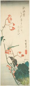 Ważka i begonia autorstwa Utagawa Hiroshige
