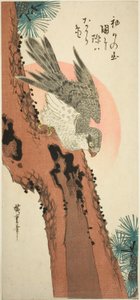 Sokół na sośnie ze wschodzącym słońcem autorstwa Utagawa Hiroshige