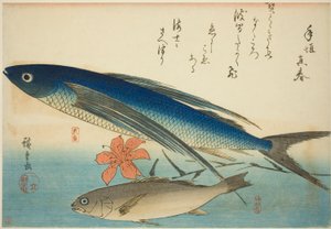 Latająca ryba i Ichimochi, z serii ryb bez tytułu autorstwa Utagawa Hiroshige