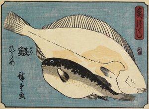 Globefish i Flądra, 1830-1844