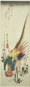 Bażant złocisty i paprocie paprociowe autorstwa Utagawa Hiroshige