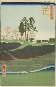 Gotenhi w Shinagawa (Shinagawa Gotenyama), z serii autorstwa Utagawa Hiroshige
