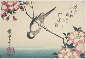 Sikora bogatka na gałęzi wiśni autorstwa Utagawa Hiroshige