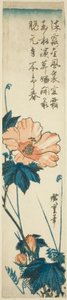 Poślubnik autorstwa Utagawa Hiroshige