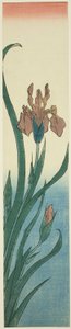 Irys autorstwa Utagawa Hiroshige