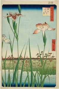 Iras w Horikiri (Horikiri no Hanadokorobe), z serii „Ridge dre d fa net s Views of Edo (Sto słynnych widoków Edo)” autorstwa Utagawa Hiroshige