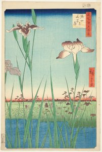 Irase s at Horikiri (Horikiri no Hanadokorobe), z serii „Ridge dre d fa net s widoki Edo (Sto słynnych widoków Edo)” autorstwa Utagawa Hiroshige