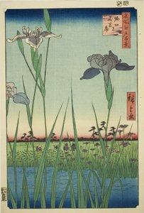 Iras w Horikiri (Horikiri no Hanadokorobe), z serii „Ridge dre d fa net s views of Edo (Sto słynnych widoków Edo)” autorstwa Utagawa Hiroshige