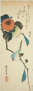 Japońskie białe oko i persymony autorstwa Utagawa Hiroshige