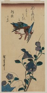 Zimorodek i dzwonki chińskie autorstwa Utagawa Hiroshige