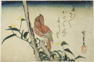 Zimorodek i Dayflower autorstwa Utagawa Hiroshige