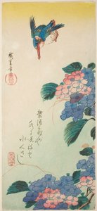 Zimorodek i hortensja autorstwa Utagawa Hiroshige