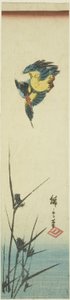 Zimorodek i trzciny autorstwa Utagawa Hiroshige