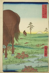 Ogane P grzywny członek Gesasa P Rovinse (Shimosa Koganehara), z serii Te `` Pan Tyrty x Widoki góry Fuji (Fuji Usaju Rokukatsu) 