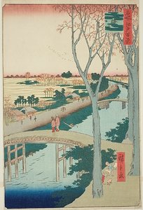 Koume Embankment (Koumezutsumi), nr 104 z serii "Sto słynnych widoków Edo (Meisho Edo hyakkei)". autorstwa Utagawa Hiroshige