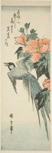 Długoogon i hibiskus autorstwa Utagawa Hiroshige