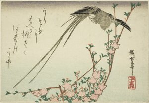 Ptaki z długimi ogonami i kwiaty brzoskwini autorstwa Utagawa Hiroshige