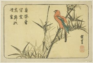 Ara i bambus autorstwa Utagawa Hiroshige